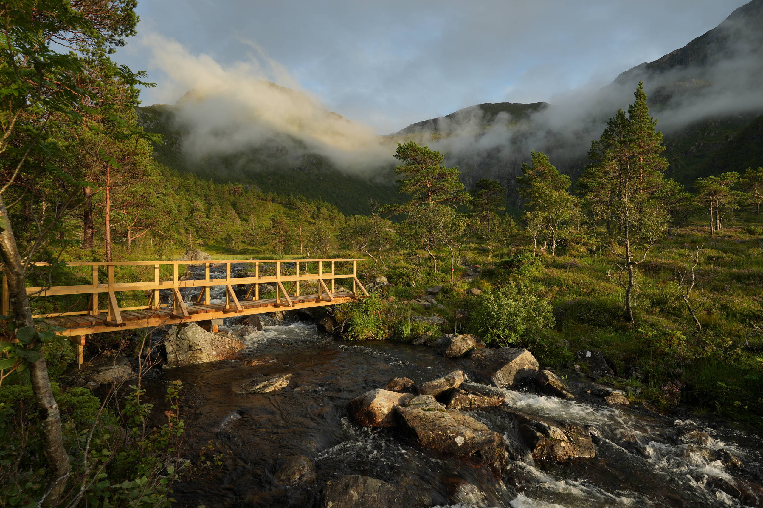 An image of Wooden bridge.